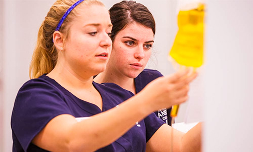 Nursing Students Score 100 Percent on NCLEX Licensing Exam | Saint Anselm College