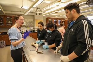 Students working in a lab