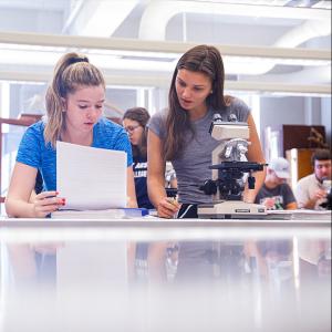 students working in a lab