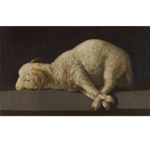 8 - Agnus Dei 2.jpg