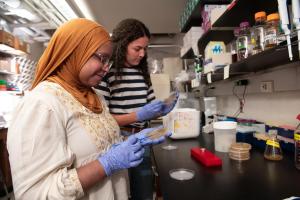 •	Chloe Young ‘24 and Ayah Elrayah ’25 researching the bacterium Clostridioides difficile